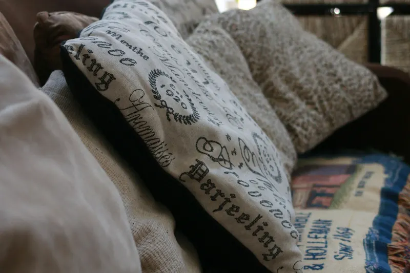Throw pillows and a blanket on a living room couch